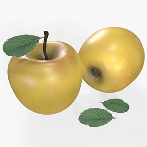 Apple Gold Stell Agro model