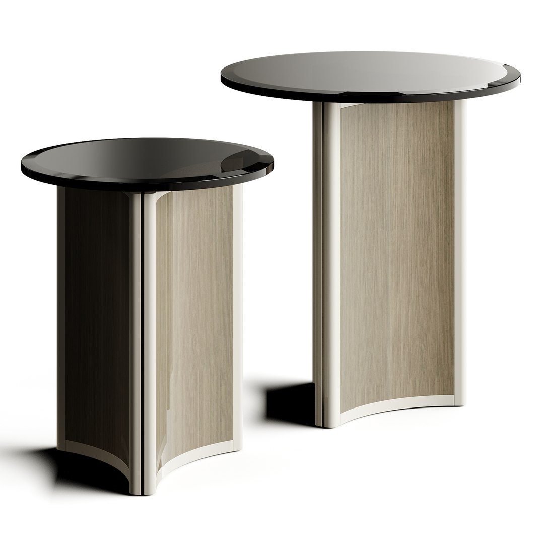 Casa Magna FUSION 2026 Coffee Table 3D https://p.turbosquid.com/ts-thumb/vj/IBtRW3/7G/zaks05542927382636/jpg/1767021507/1920x1080/fit_q87/6c580c3806a51efd0c5b73849219315b8660f133/zaks05542927382636.jpg