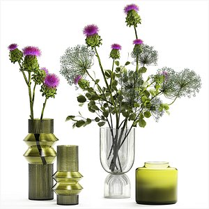 Beautiful bouquet of Heracleum thorn Thistle in a glass vase 294 3D model