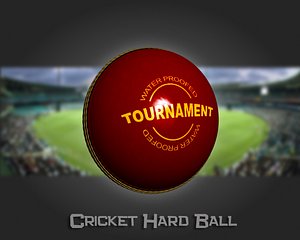 3d model cricket hard ball