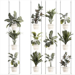 Rope shelf Cycas Ficus Calathea Strelitzia pot 1425 model