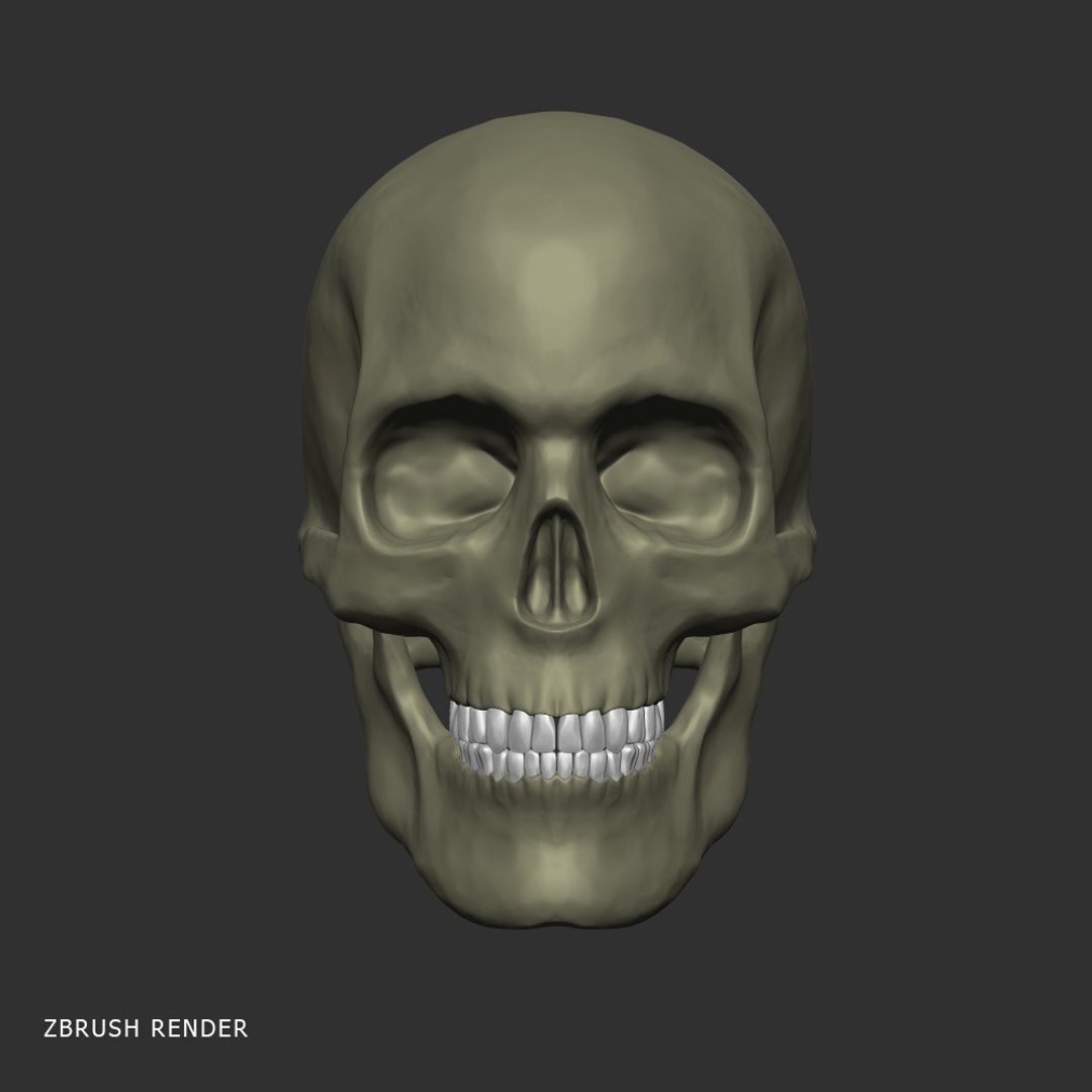 realistic head muscles anatomy max https://p.turbosquid.com/ts-thumb/vj/wKrqDk/o2p8Xc7g/zbrush_7/jpg/1312818243/1920x1080/fit_q87/894e27b4e17b239747997151e3b6abb9a91d5d01/zbrush_7.jpg