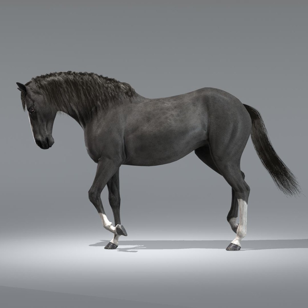 кватерхорс вороной. морда лошади. симс 3 питомцы лошади. лошадь в 3 4. лошадь в 3 4.