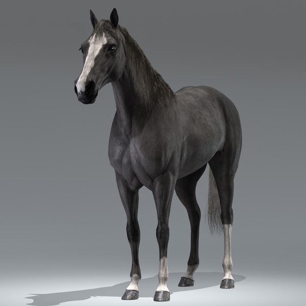 Modelo 3d do cavalo com textura de 9 cores Modelo 3D $99 - .fbx .obj .max -  Free3D