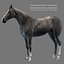 3d model realistic horse