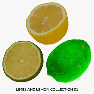 Limes and Lemon Collection 01 - 3 models RAW Scans 3D model