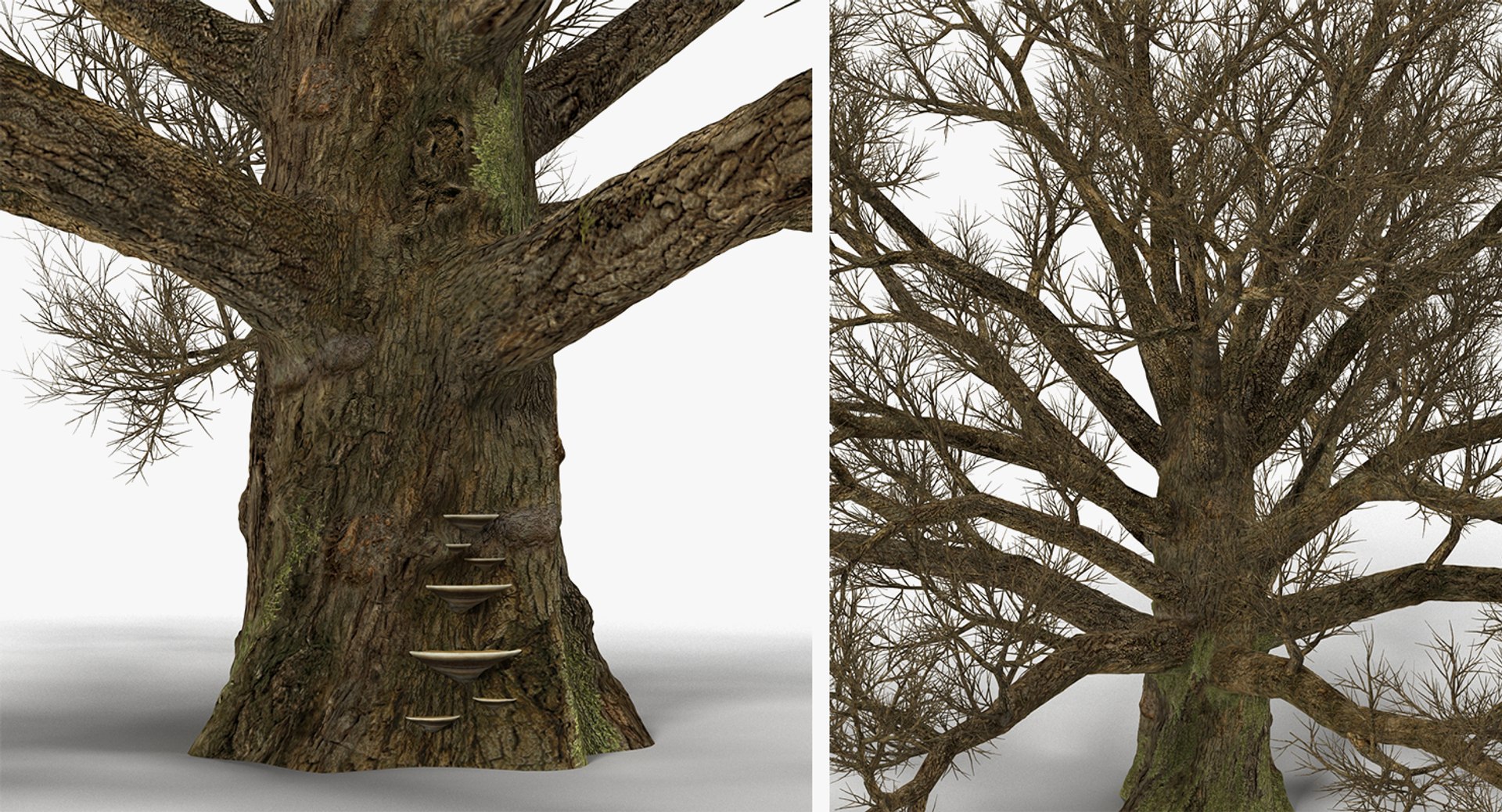 3D winter trees 2 https://p.turbosquid.com/ts-thumb/vk/3TCjzw/784BrNeo/wintertreescollection2mb3dmodel022/jpg/1538236171/1920x1080/fit_q87/25709f00126cc9ba77d8d50b8a543091f7dd56e5/wintertreescollection2mb3dmodel022.jpg