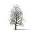 3D winter trees 2