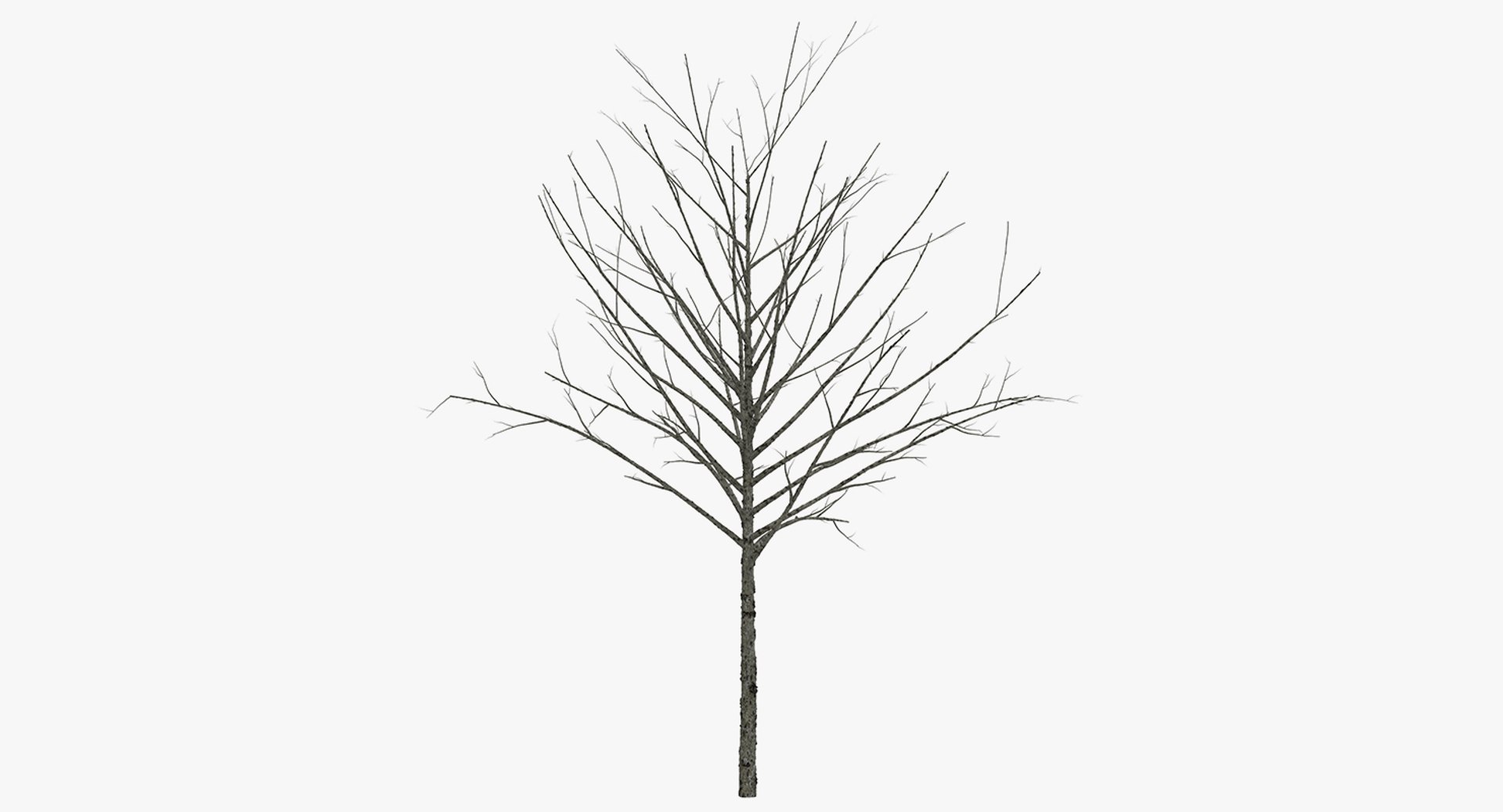 3D winter trees 2 https://p.turbosquid.com/ts-thumb/vk/3TCjzw/Mol84Too/wintertreescollection2mb3dmodel019/jpg/1538236171/1920x1080/fit_q87/a577693f685a7faff0f62441279200cdabc86ccc/wintertreescollection2mb3dmodel019.jpg