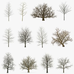 3D winter trees 2