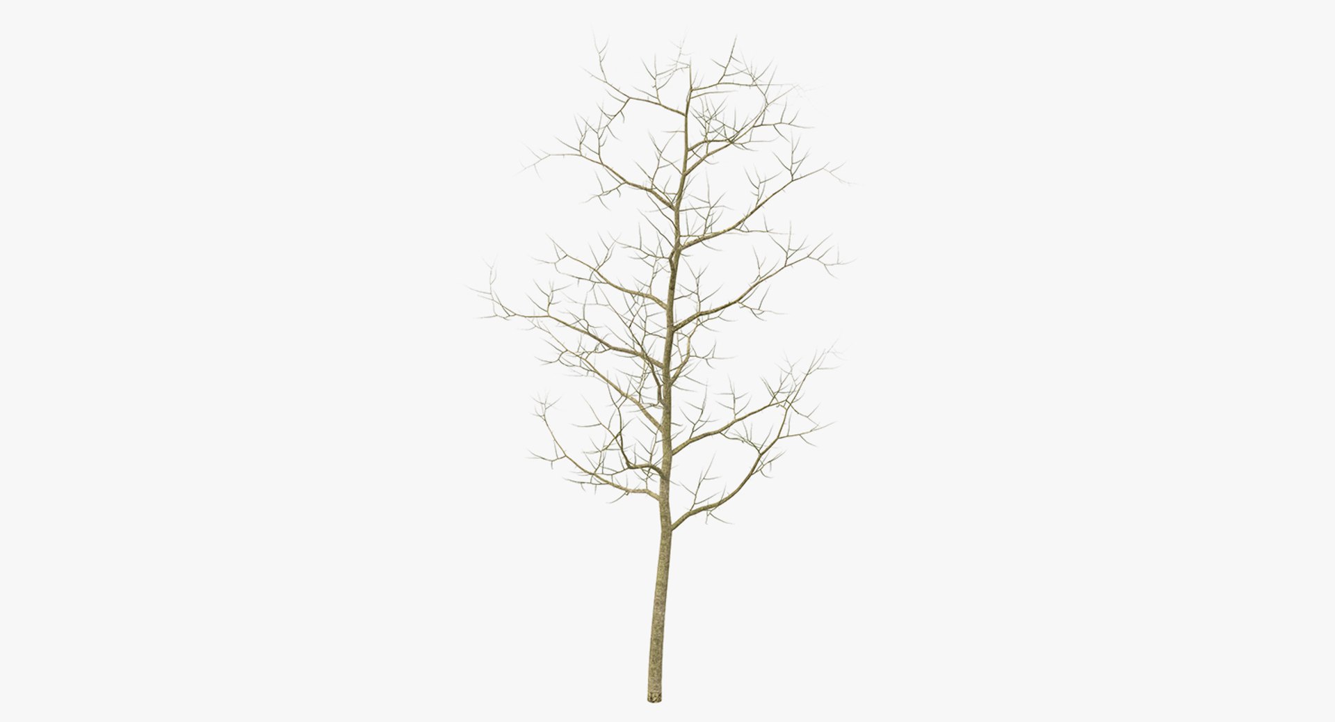3D winter trees 2 https://p.turbosquid.com/ts-thumb/vk/3TCjzw/WJ1vud0g/wintertreescollection2mb3dmodel025/jpg/1538236171/1920x1080/fit_q87/452d6caa404e6f40780dbcf174c577e9b01ebf96/wintertreescollection2mb3dmodel025.jpg