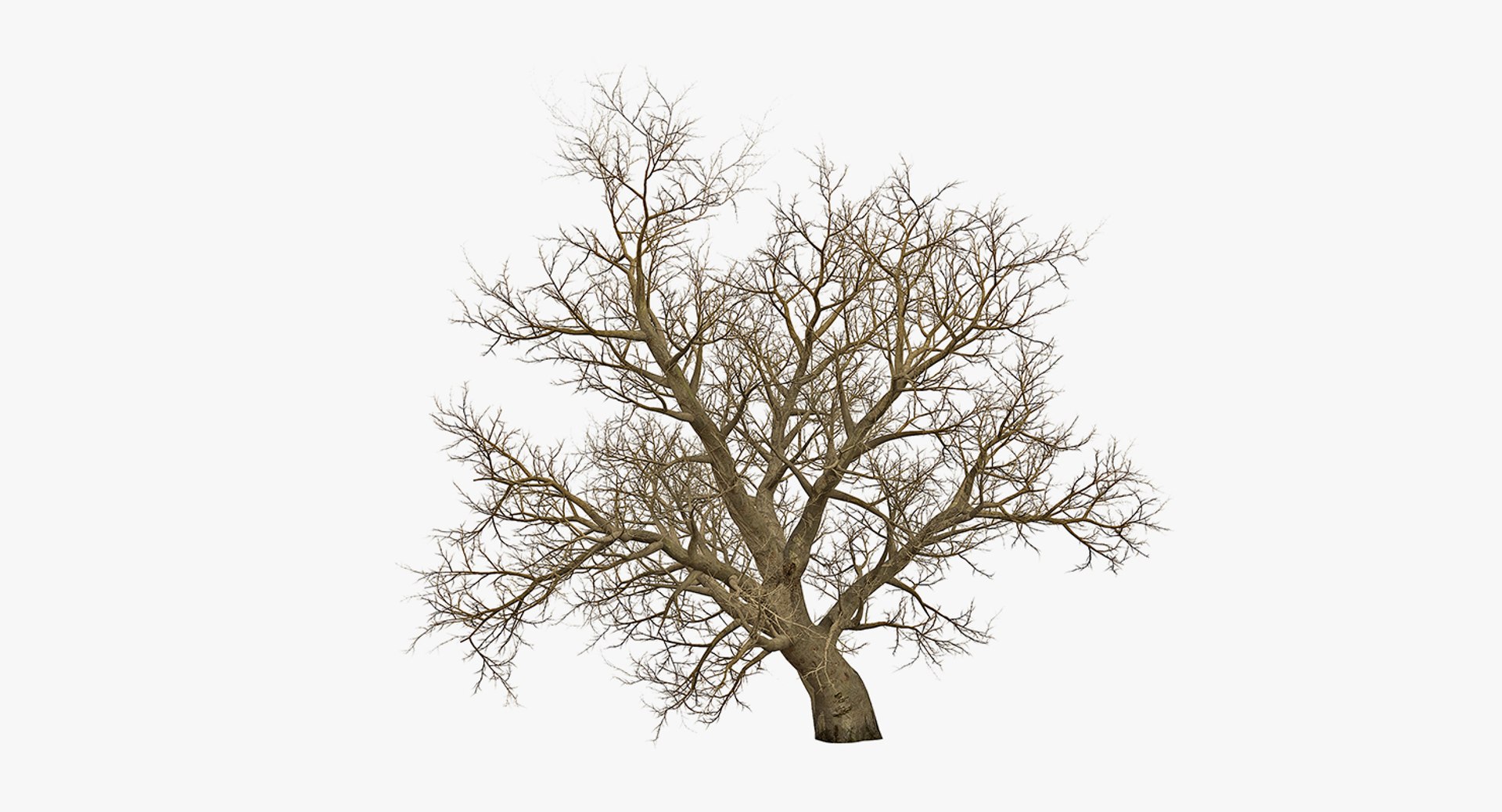 3D winter trees 2 https://p.turbosquid.com/ts-thumb/vk/3TCjzw/gcqLw3IT/wintertreescollection2mb3dmodel011/jpg/1538236171/1920x1080/fit_q87/e1b115a9acccd57fbc763dd425201aaff2479336/wintertreescollection2mb3dmodel011.jpg