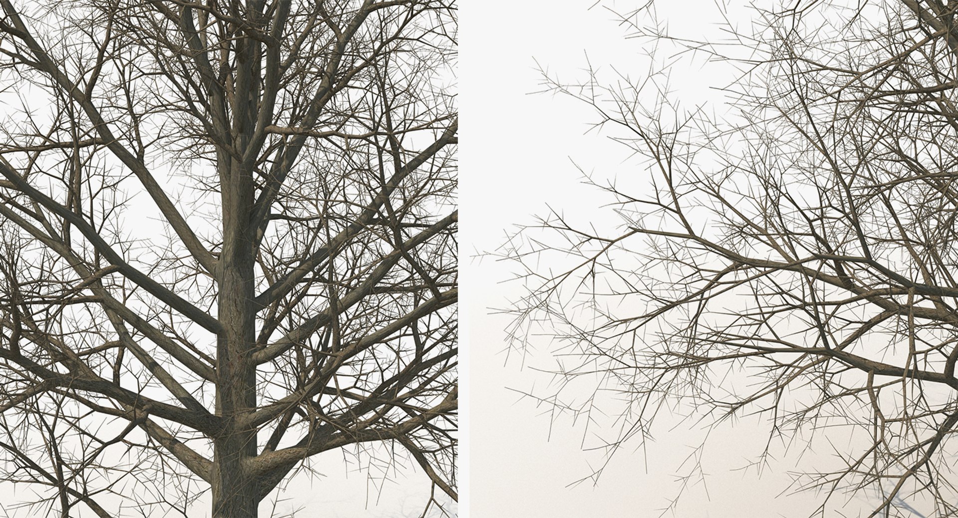 3D winter trees 2 https://p.turbosquid.com/ts-thumb/vk/3TCjzw/qMMtMG6Z/wintertreescollection2mb3dmodel018/jpg/1538236171/1920x1080/fit_q87/81723929997e36a6abd2f4ccfe397a990fe5771b/wintertreescollection2mb3dmodel018.jpg