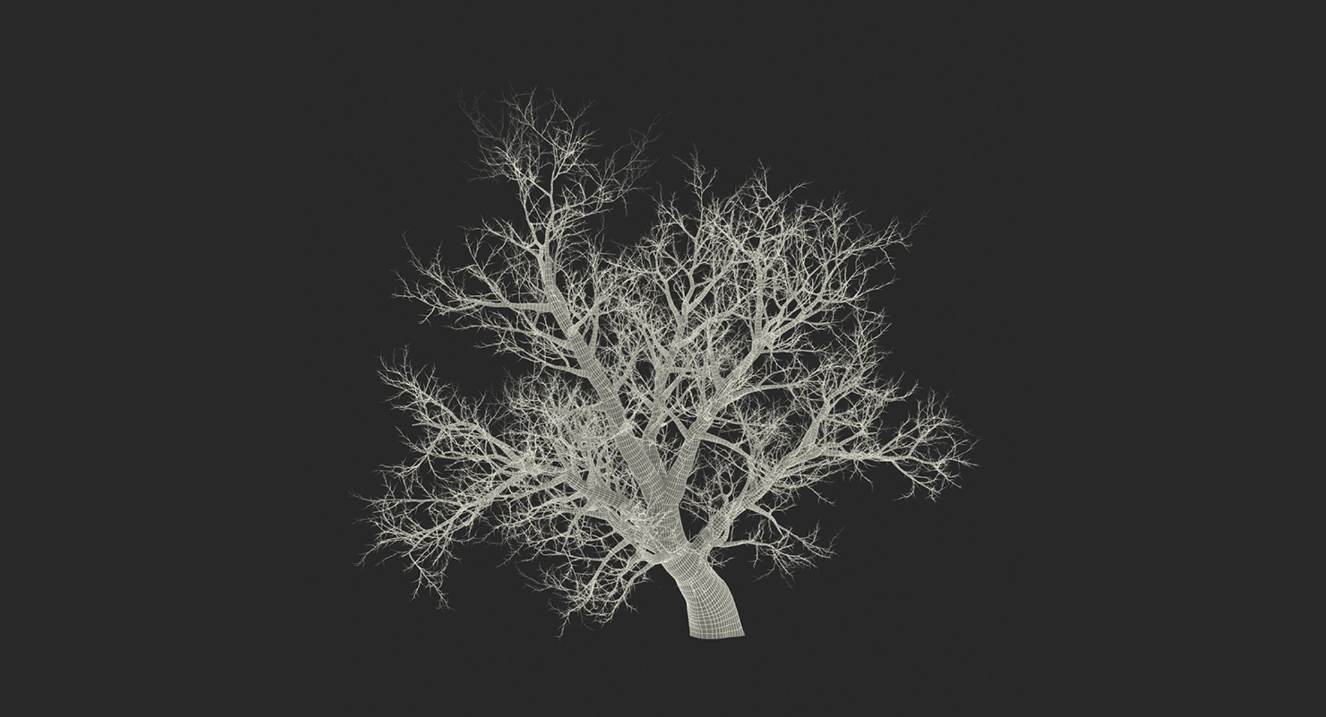 3D winter trees 2 https://p.turbosquid.com/ts-thumb/vk/3TCjzw/qOiBUqVc/wintertreescollection2mb3dmodel031/jpg/1538236171/1920x1080/fit_q87/9226269e1c3ded95d8f4d176b7cfef6f37dc87f2/wintertreescollection2mb3dmodel031.jpg