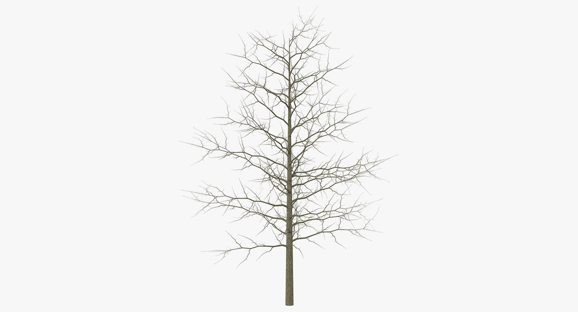 3D winter trees 2 https://p.turbosquid.com/ts-thumb/vk/3TCjzw/trlinMfm/wintertreescollection2mb3dmodel009/jpg/1538236171/1920x1080/fit_q87/fd16b68a18a8dc28e2cff46d601cfbcc5bd9475d/wintertreescollection2mb3dmodel009.jpg