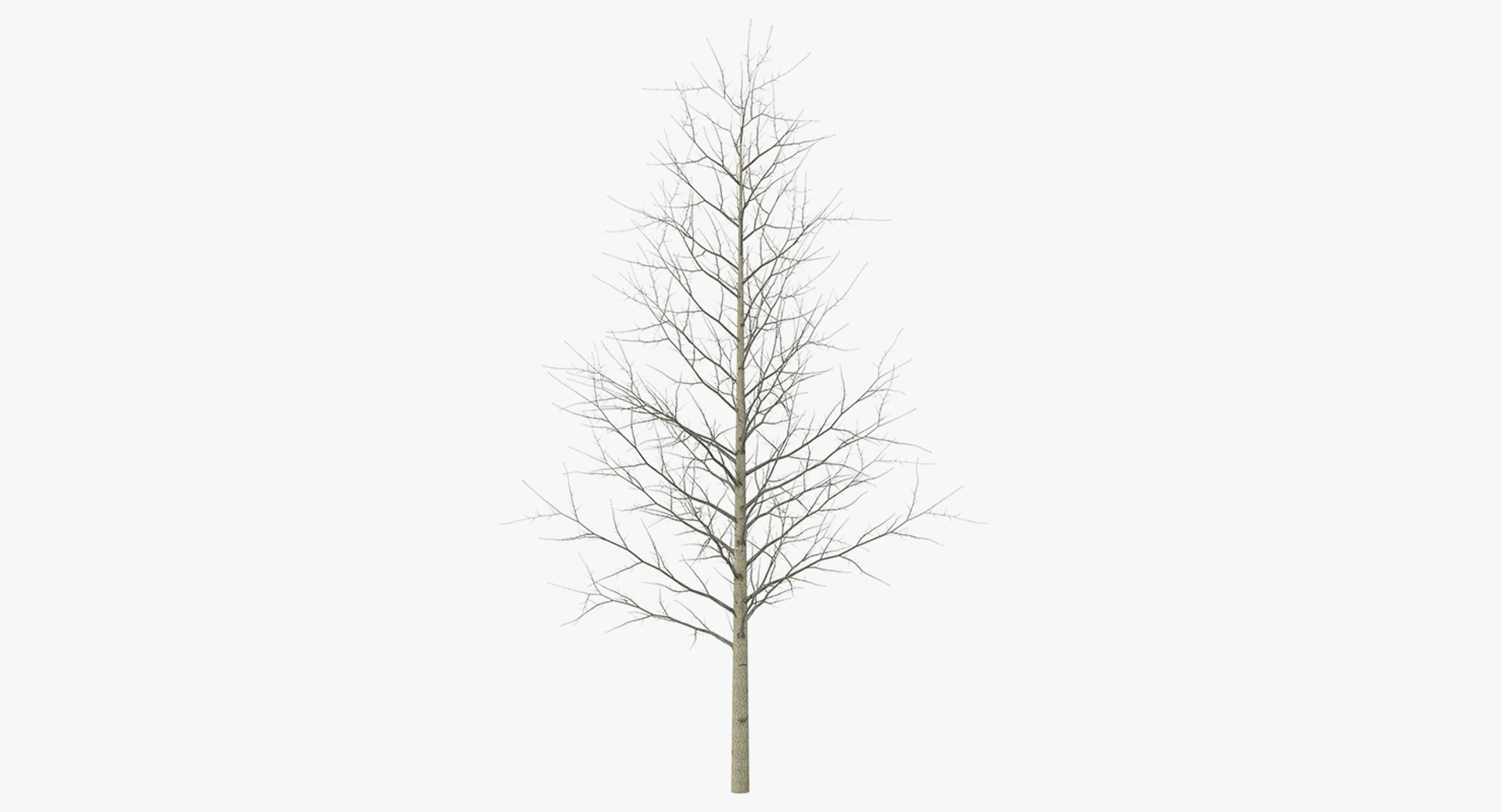 3D winter trees 2 https://p.turbosquid.com/ts-thumb/vk/3TCjzw/vcUbNKuy/wintertreescollection2mb3dmodel015/jpg/1538236171/1920x1080/fit_q87/b8d1f10bb72171bcf16229b9fae9555c15e51bf2/wintertreescollection2mb3dmodel015.jpg
