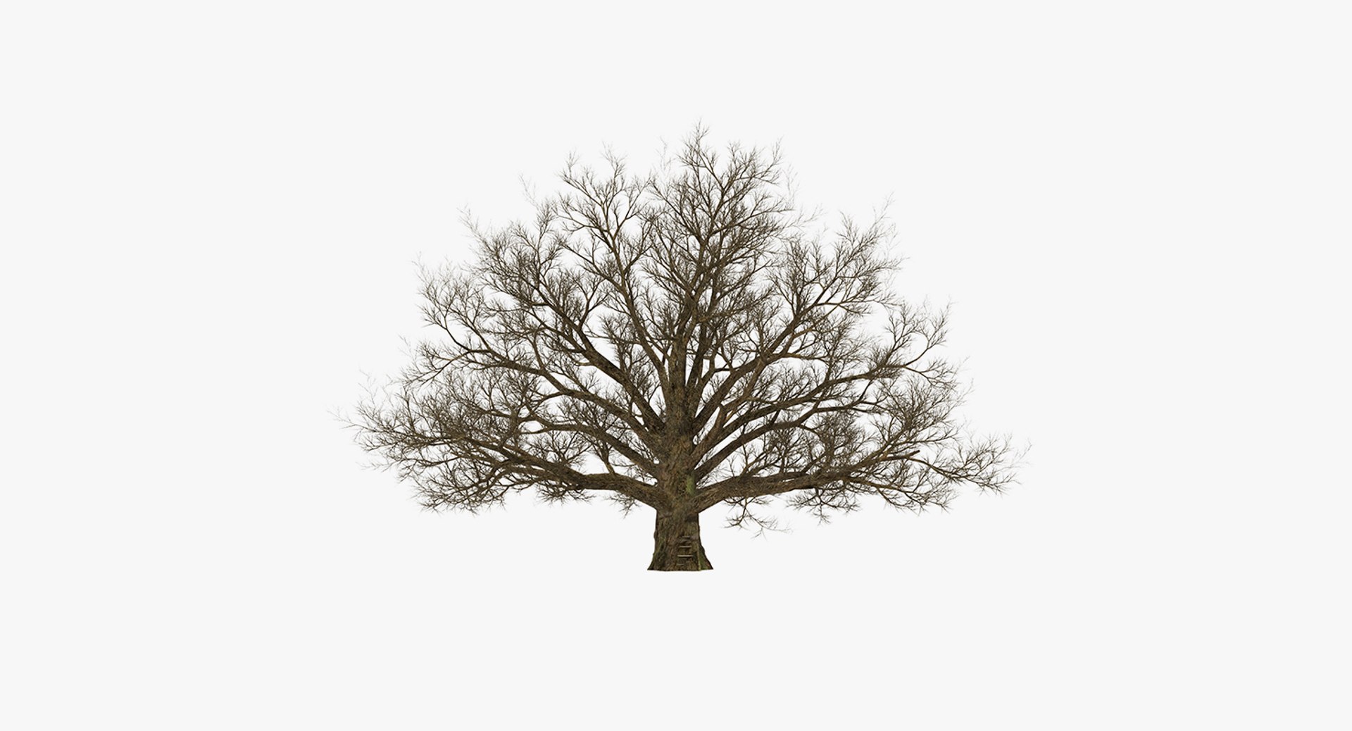 3D winter trees 2 https://p.turbosquid.com/ts-thumb/vk/3TCjzw/wpDawxuJ/wintertreescollection2mb3dmodel021/jpg/1538236171/1920x1080/fit_q87/f726cb2f65e46efaaa4ba3628cbfe5fdf4bf6924/wintertreescollection2mb3dmodel021.jpg