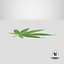 Cannabis Leaf