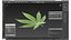 Cannabis Leaf