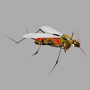 max mosquito