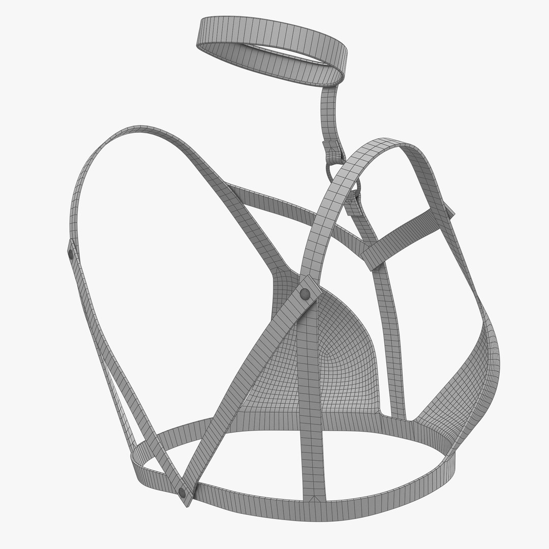 3D Leather Harness Bra https://p.turbosquid.com/ts-thumb/vk/MOBaF7/2p/20/png/1778755744/1920x1080/fit_q87/522e106fcf8cc701bfbeee2d2ef1d3aba4c8101b/20.jpg
