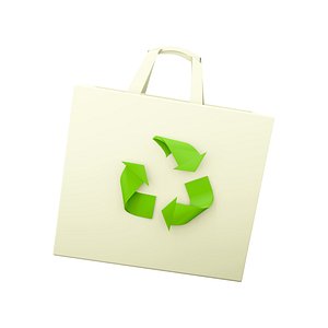 3D 3d cloth eco bags blank icon model