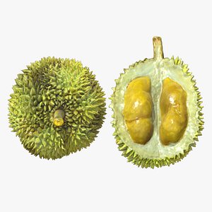 3D Durian Low Poly