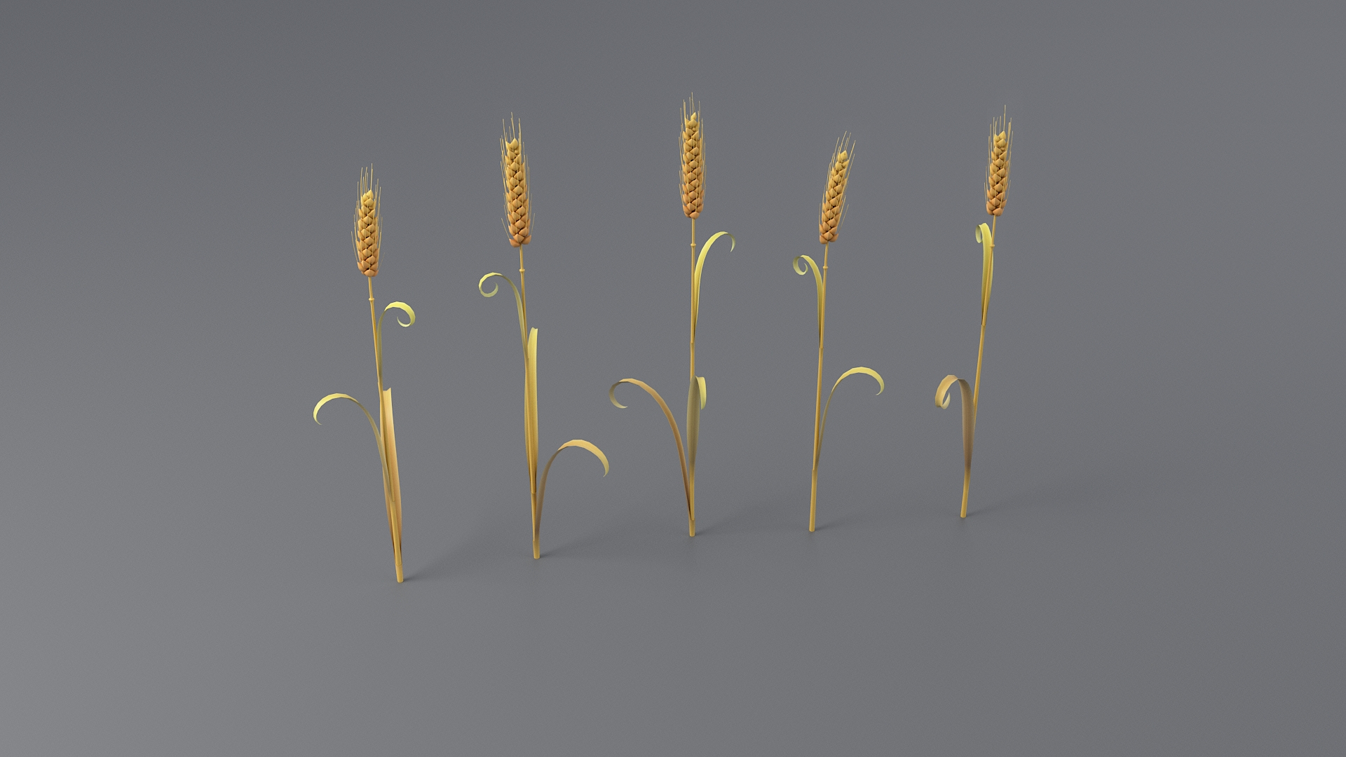 3D model Cartoon Grass Big Collection https://p.turbosquid.com/ts-thumb/vk/YhxXSl/YU/grassboccoltbg/jpg/1699351414/1920x1080/turn_fit_q99/fef7e8c40fe98fe4a0ee5aa0211253ca504c7971/grassboccoltbg-1.jpg