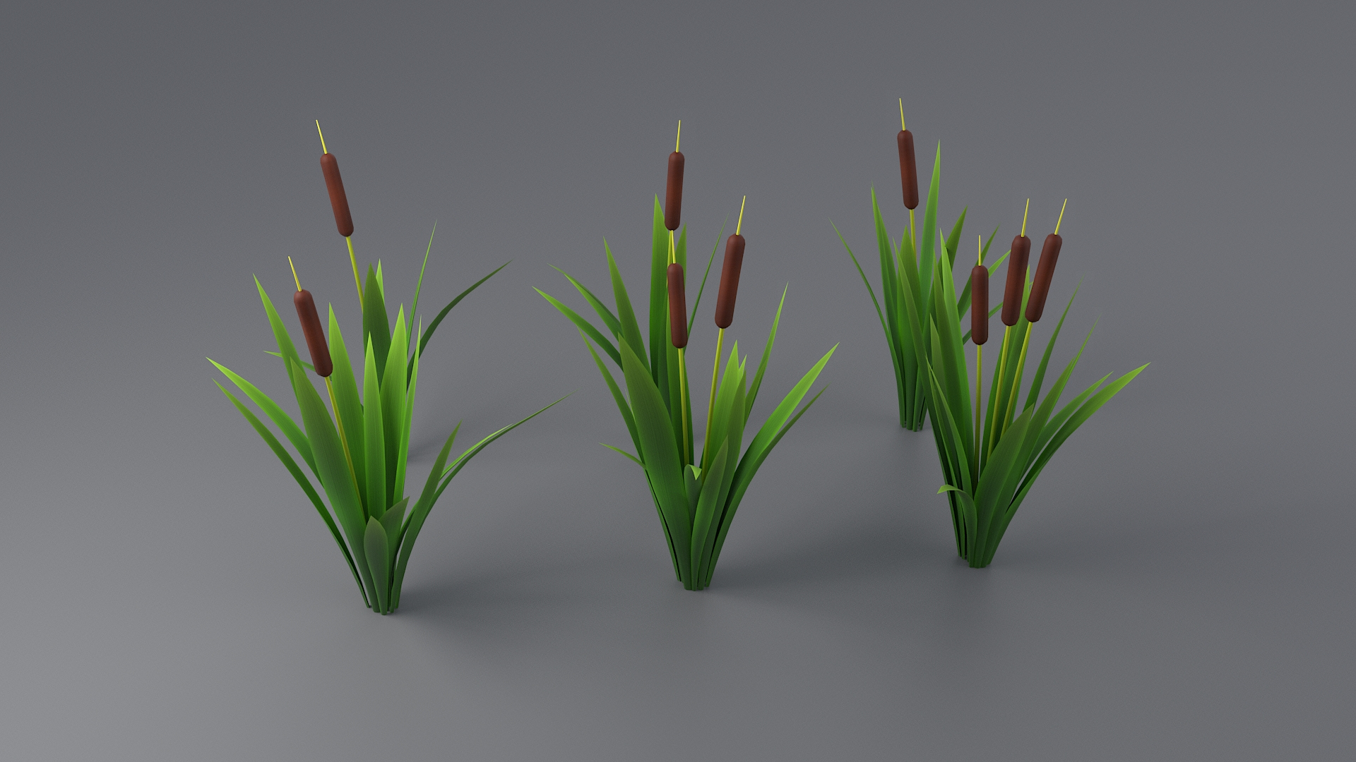 3D model Cartoon Grass Big Collection https://p.turbosquid.com/ts-thumb/vk/YhxXSl/lX/grassboccoltbc/jpg/1699350189/1920x1080/turn_fit_q99/3eea2ea0b2a1fb68183fb48a4e33e6ae9a04c13b/grassboccoltbc-1.jpg