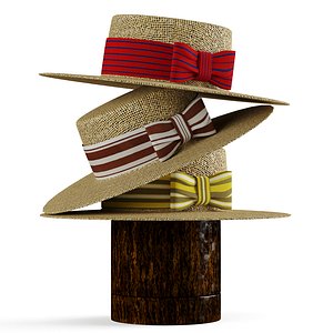 3D beach hat model