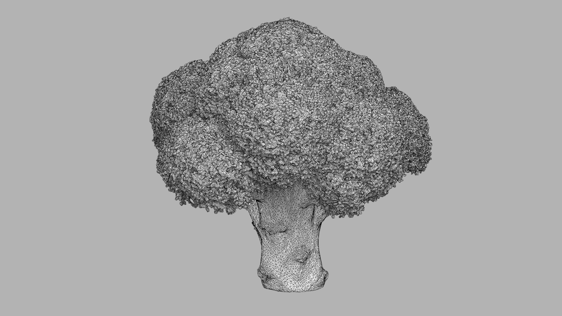 broccoli vegetable model https://p.turbosquid.com/ts-thumb/vk/iNjDWd/Nz/broccoli_r7w/png/1614153278/1920x1080/fit_q87/c789896c3c37ab97df76cbbec30a81be72fb60f5/broccoli_r7w.jpg
