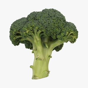 Broccoli