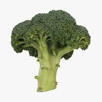 Broccoli