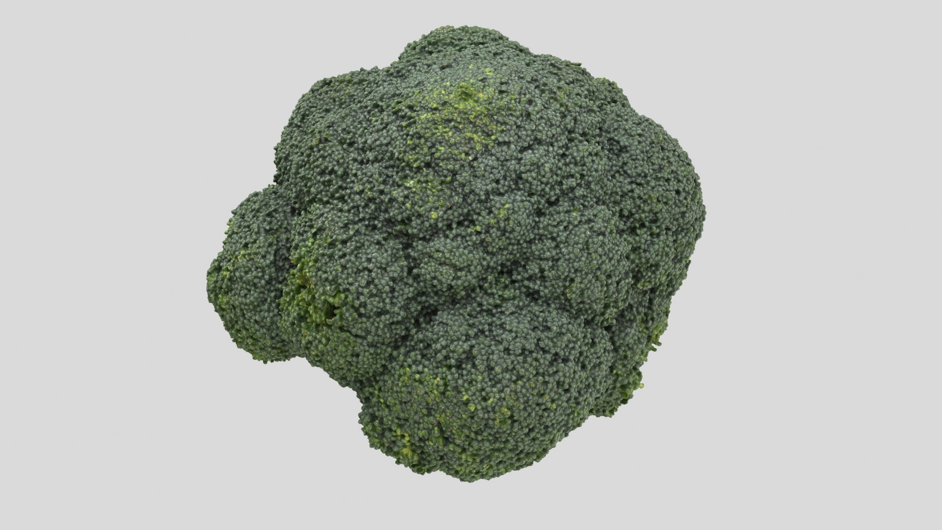 broccoli vegetable model https://p.turbosquid.com/ts-thumb/vk/iNjDWd/jJ/broccoli_r3/png/1614153281/1920x1080/fit_q87/82626384f9407e8845e59dc3af08100fed132454/broccoli_r3.jpg