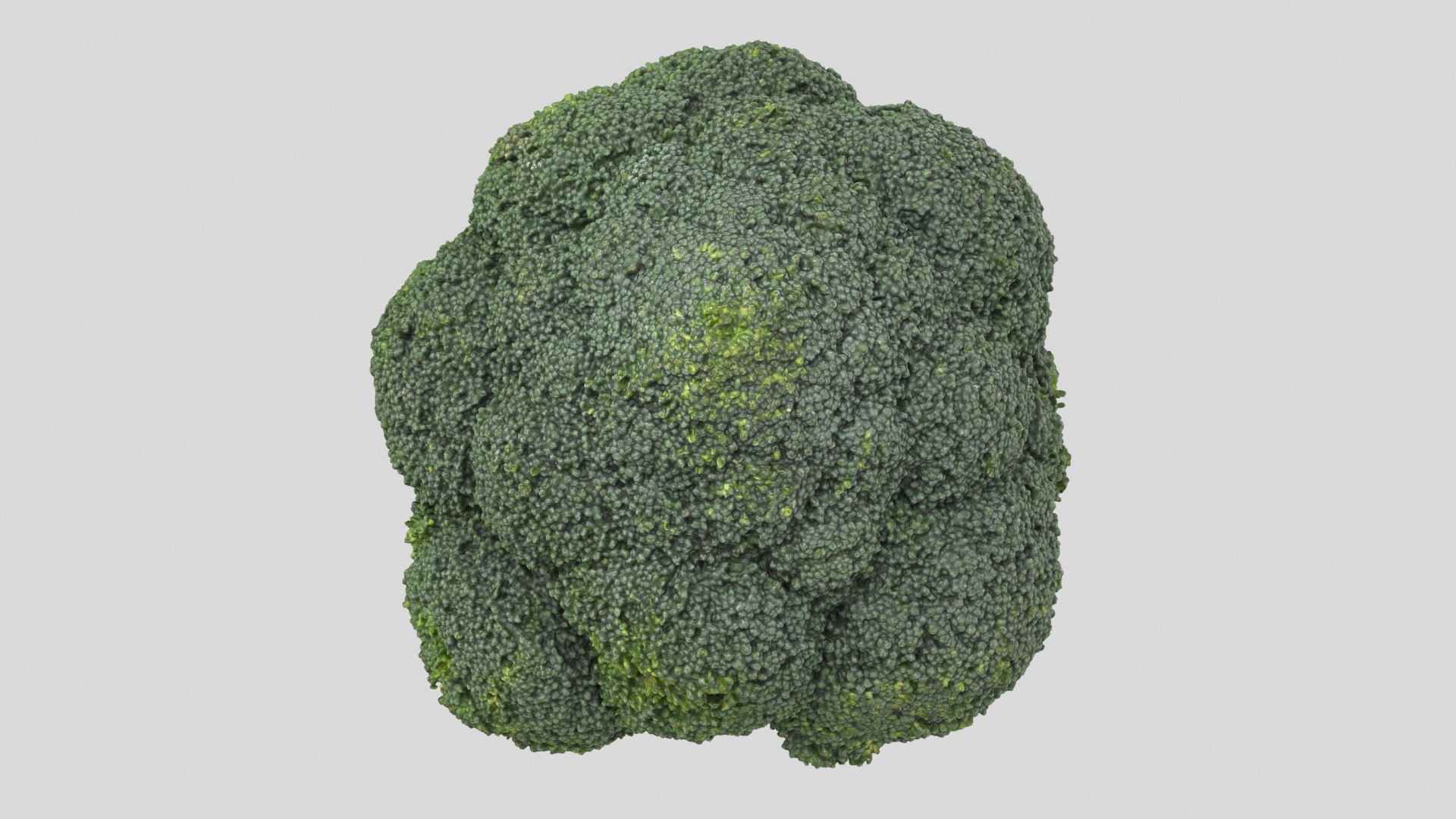 broccoli vegetable model https://p.turbosquid.com/ts-thumb/vk/iNjDWd/qE/broccoli_r4/png/1614153284/1920x1080/fit_q87/8c8addb8174aec4c504e63949aec399e401c8550/broccoli_r4.jpg