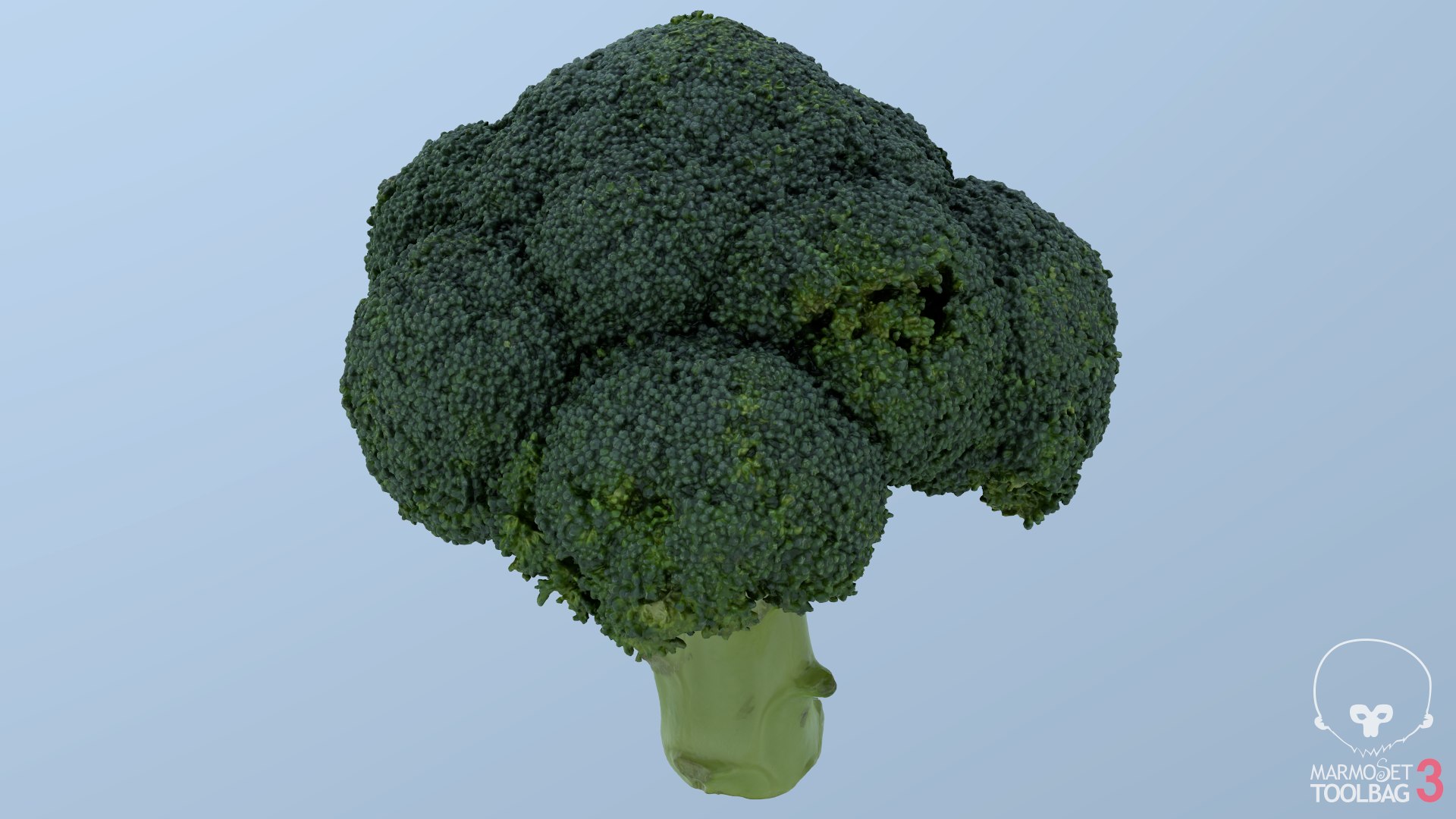 broccoli vegetable model https://p.turbosquid.com/ts-thumb/vk/iNjDWd/rQ/screenshot233/png/1614153276/1920x1080/fit_q87/083f4a1bb60e3fac0fb9f354dad78a8f8ec11c01/screenshot233.jpg