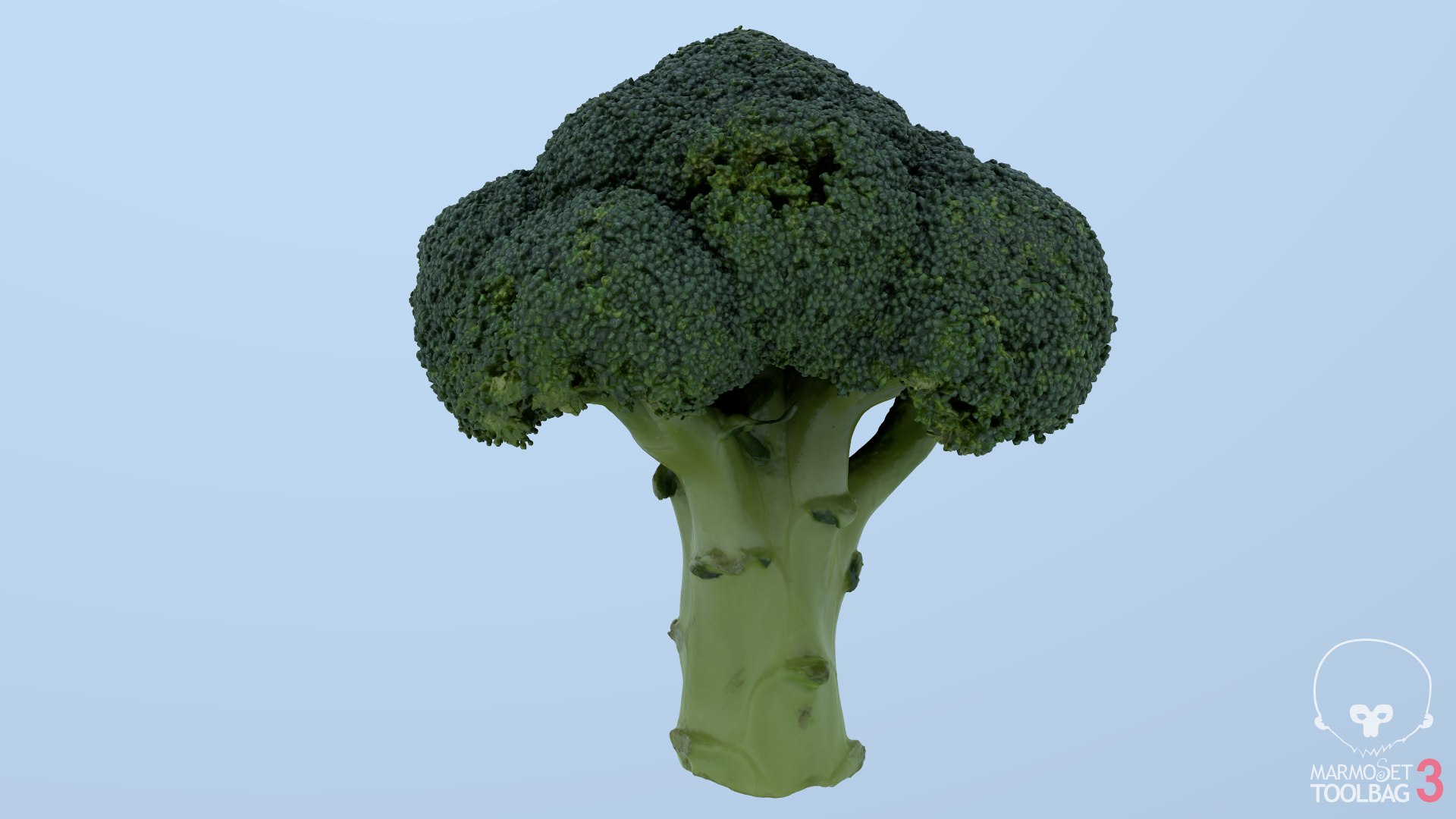 broccoli vegetable model https://p.turbosquid.com/ts-thumb/vk/iNjDWd/tF/screenshot232/png/1614153272/1920x1080/fit_q87/ecef8972d633473dc543154fe9c804869b6dc0ae/screenshot232.jpg