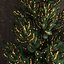 Decorazioni natalizie Albero di Capodanno 3