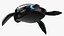 3D Beatbot Amphibious RoboTurtle