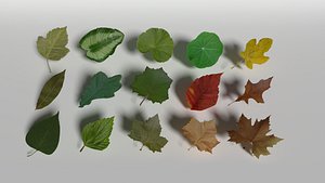 3D pack leaf plant