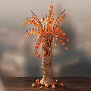 Vase with physalis