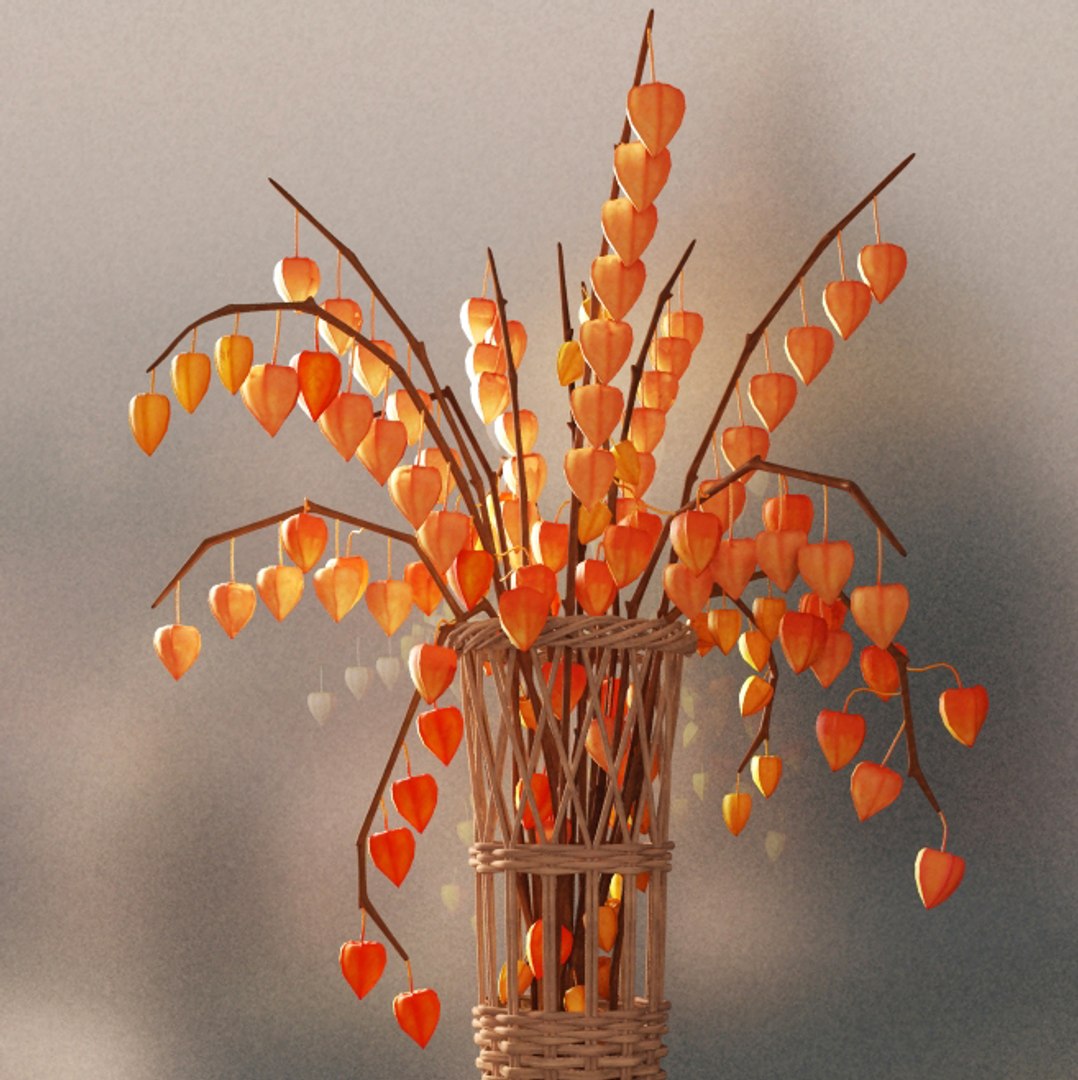 max modeled vase physalis https://p.turbosquid.com/ts-thumb/vl/OyBUzl/l1wAahvk/02/jpg/1462218370/1920x1080/fit_q87/73141926c67465ea64943035a918257af0a0185a/02.jpg