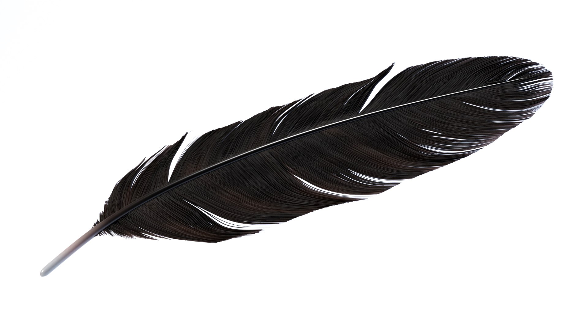 3D Crow Feather https://p.turbosquid.com/ts-thumb/vl/Y2oVu4/0q/0024/jpg/1659428571/1920x1080/fit_q87/5b92790ef3b1e1b9366157088d4caef34e35545d/0024.jpg