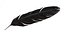 Crow Feather