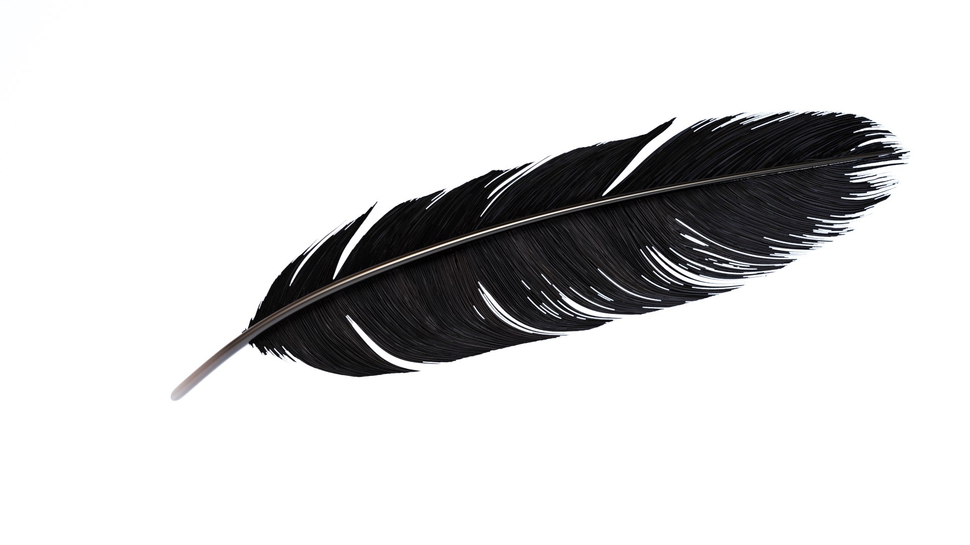 3D Crow Feather https://p.turbosquid.com/ts-thumb/vl/Y2oVu4/0t/0001/jpg/1659428520/1920x1080/fit_q87/4ee7ccd3968d7bb1c141d218f085987fe89d7a2c/0001.jpg