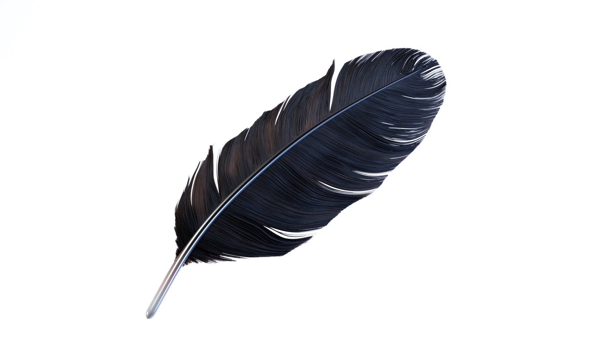 3D Crow Feather https://p.turbosquid.com/ts-thumb/vl/Y2oVu4/2G/0023/jpg/1659428570/1920x1080/fit_q87/f2ee995f6bf359334a668ef5829c6daf285deab6/0023.jpg