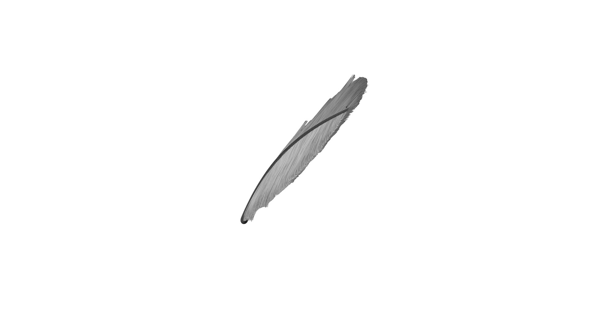 3D Crow Feather https://p.turbosquid.com/ts-thumb/vl/Y2oVu4/3i/0026/jpg/1659428574/1920x1080/fit_q87/f0838bd419faaff0faa64845ed80cae1c872ae6d/0026.jpg