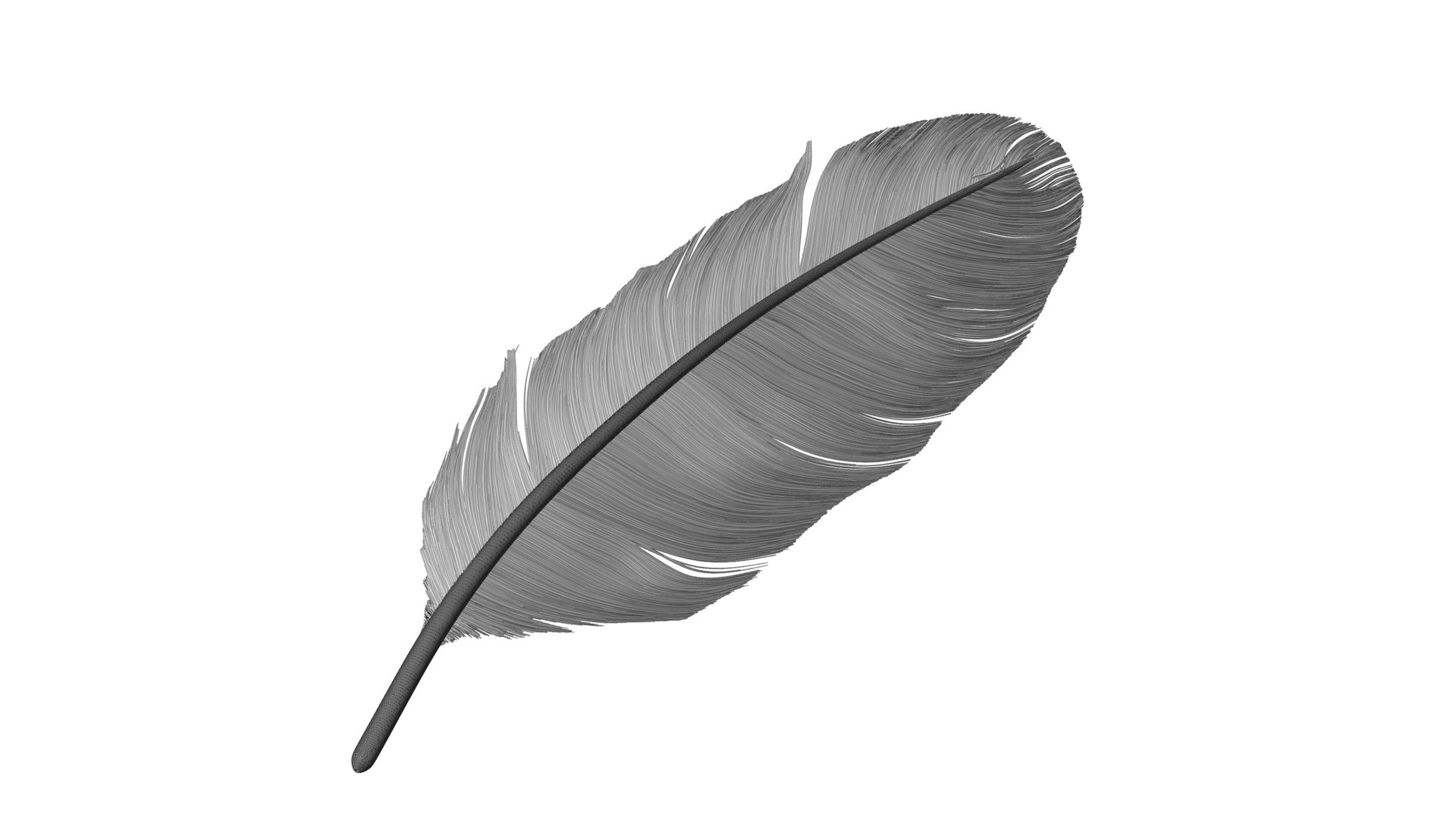 3D Crow Feather https://p.turbosquid.com/ts-thumb/vl/Y2oVu4/9i/0031/jpg/1659428591/1920x1080/fit_q87/ed7192c370bd5cb14a002512ae23f549d0f4d404/0031.jpg