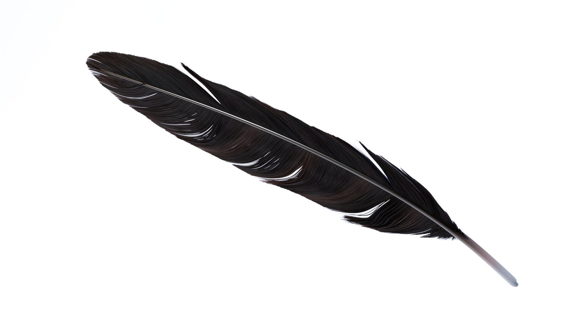 3D Crow Feather https://p.turbosquid.com/ts-thumb/vl/Y2oVu4/Ks/0021/jpg/1659428564/1920x1080/fit_q87/27b2b813aa69723b7bcac4106d7e8098422ac1ae/0021.jpg