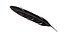 Crow Feather